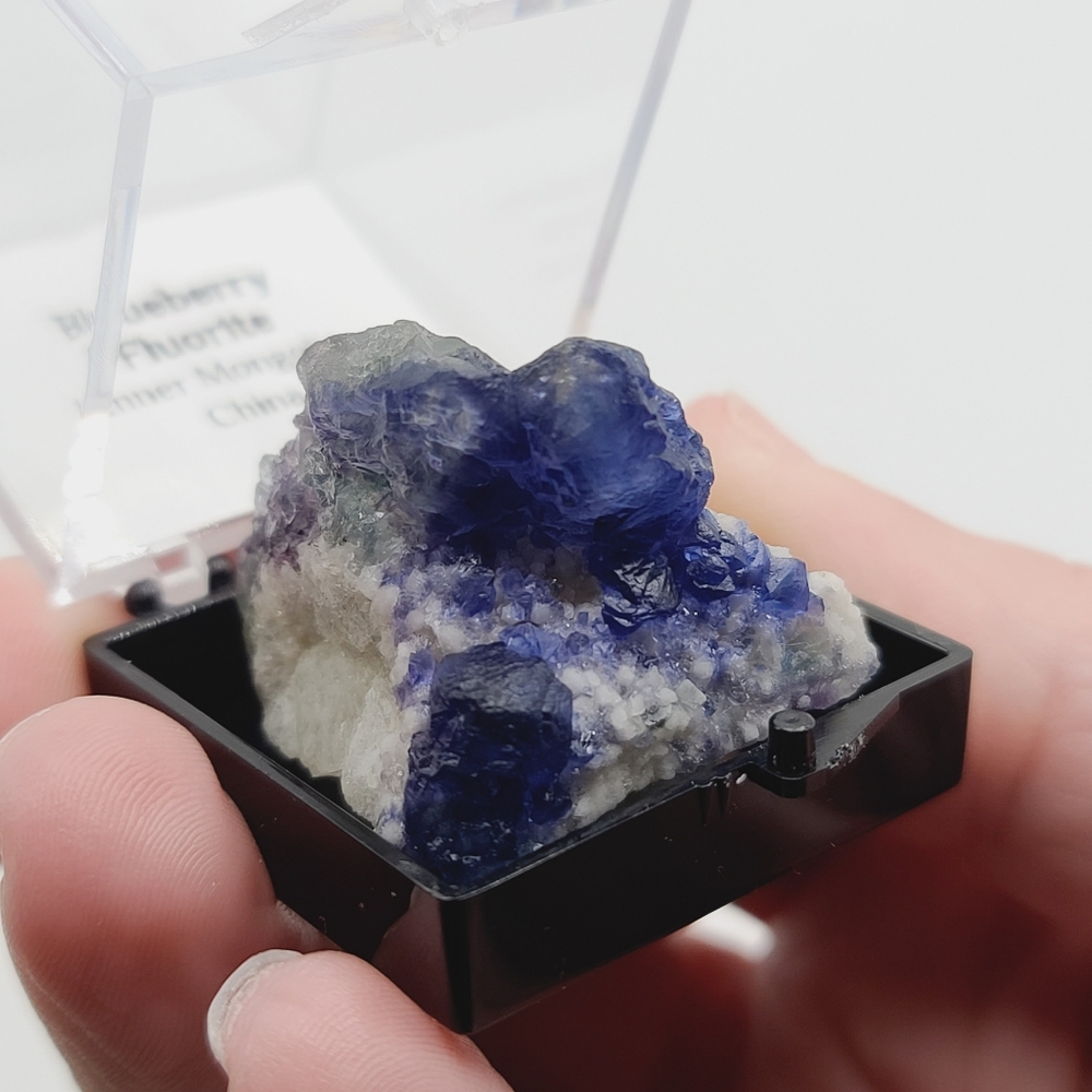 Four Colors! Blueberry Fluorite Crystal Thumbnail Mineral Specimen